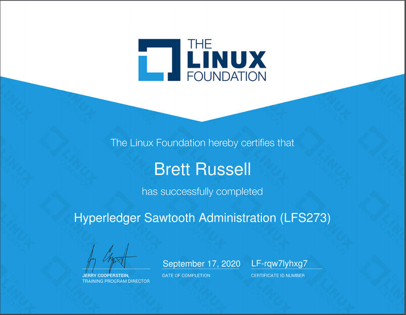 Hyperledger Sawtooth Administration